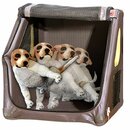 TAMI - Aufblasbares Hundebox Seatbox - Dog Box Hundetransportbox Hund Autotransportbox Transportbox Falbare Hundekäfig
