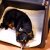TAMI XS - Auto & Home Hundebox aufblasbar mit Airbagfunktion
