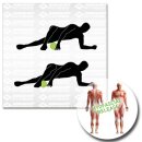 Fitness Spot Massage Rolle