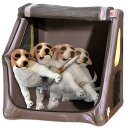 TAMI Backseat M Aufblasbare Rücksitz-Hundebox mit Airbagfunktion – Faltbare Auto-Transportbox
