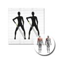 Schildkröt Fitness Expander Set Pro, 1 Linearexpander + 2 Handgriffe