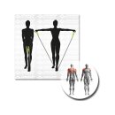Schildkröt Fitness Expander Set Pro, 1 Linearexpander + 2 Handgriffe