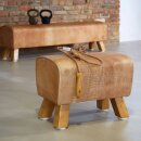 ARTZT Vintage Series Bock